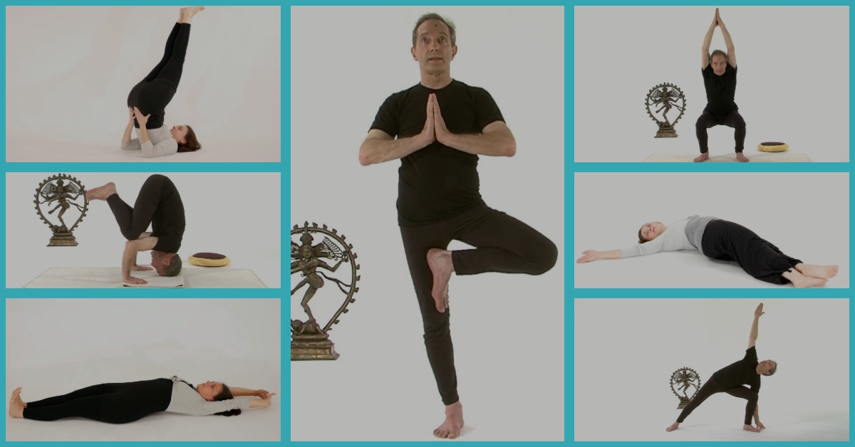 Postures de yoga-asana-actions physiologiques